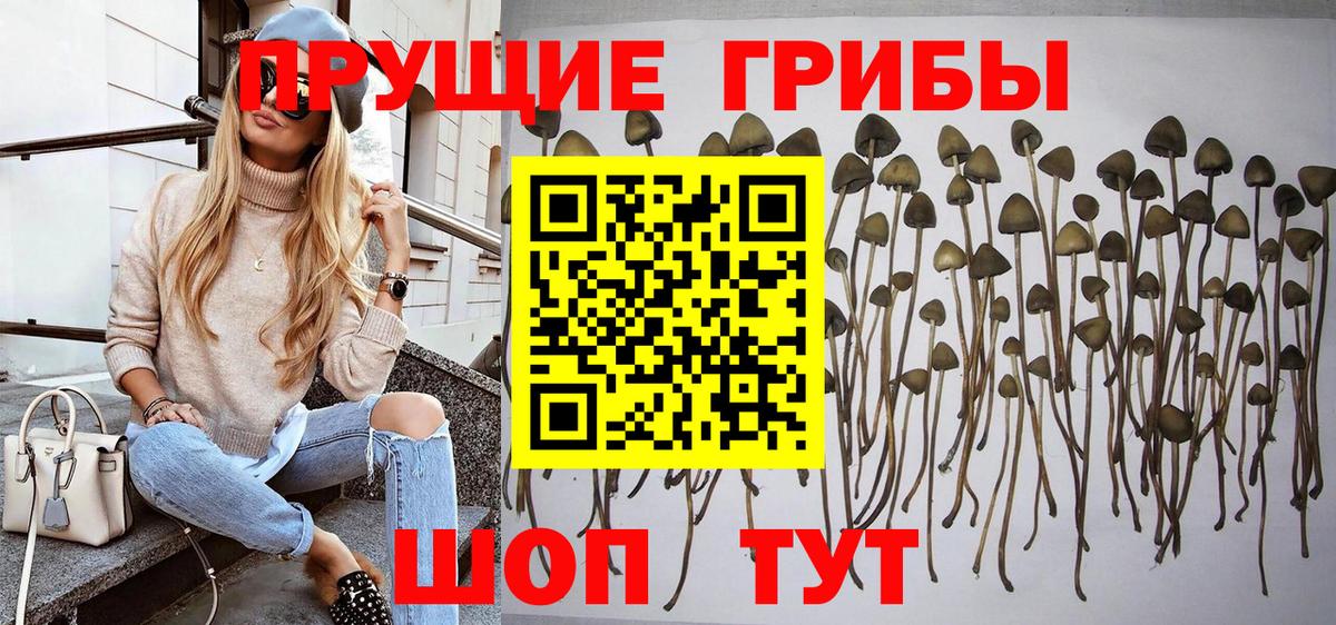 Бошки Шишки  Вход с VPN  Муром  ГАШИШ  Alpha PVP СК   NBOMe  ЭКСТАЗИ  МЕФ   Метадон  Cocaine 